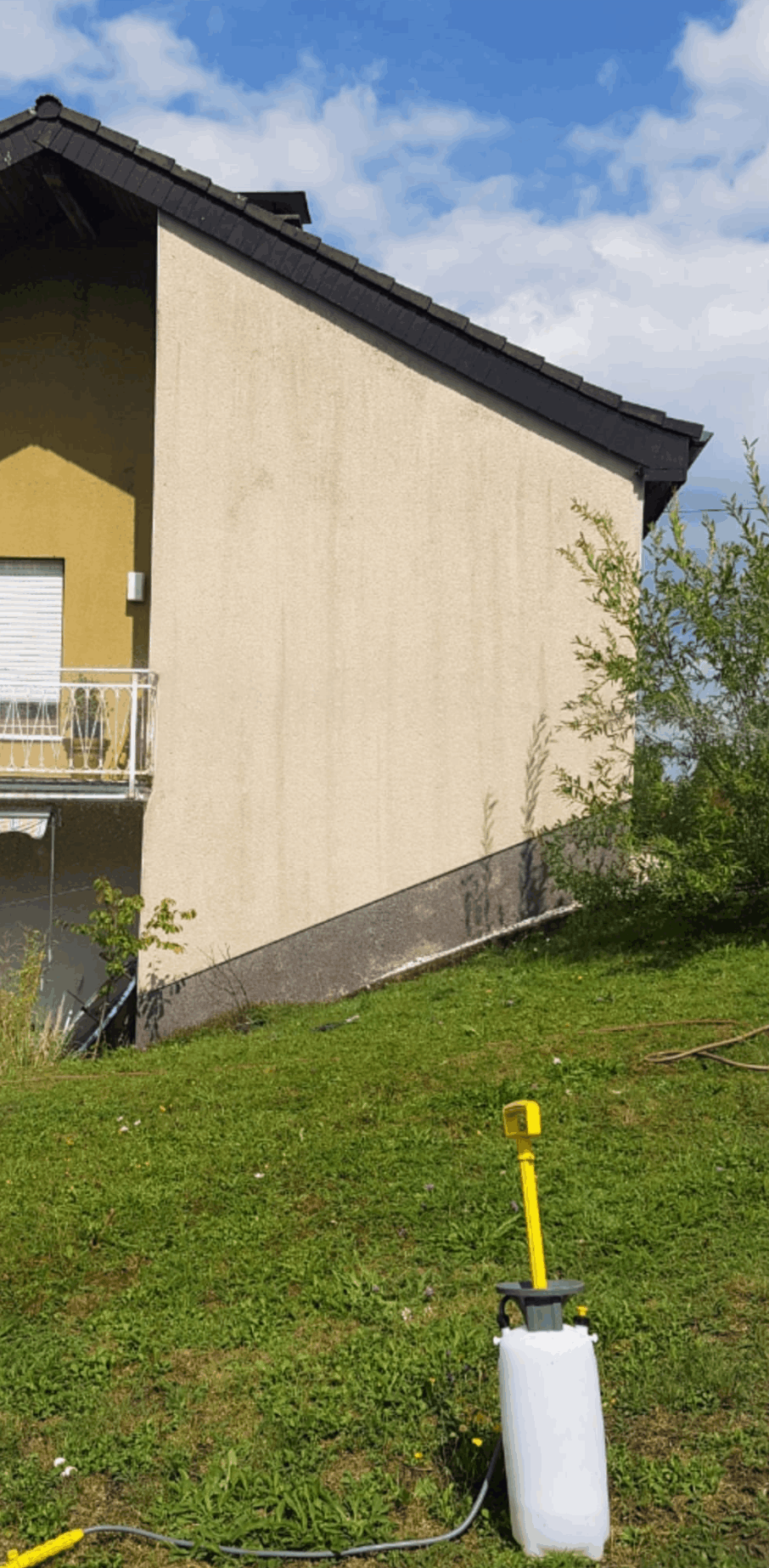 Fassadenreinigung vorher