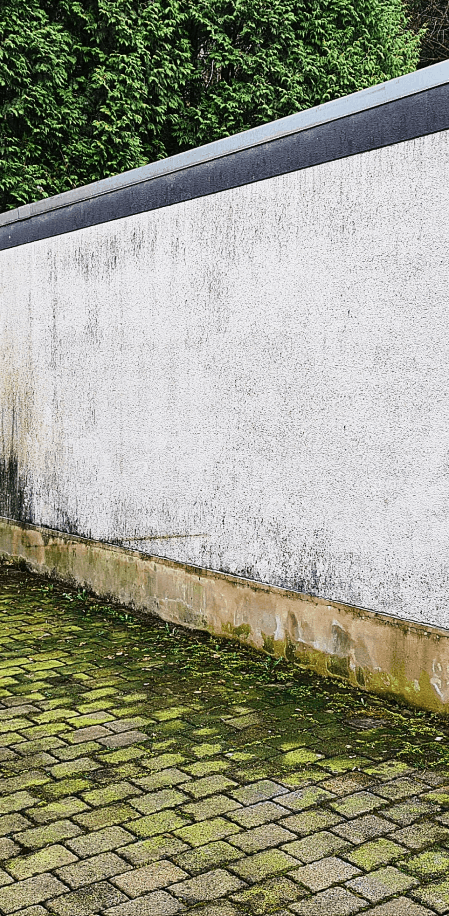 Fassadenreinigung vorher