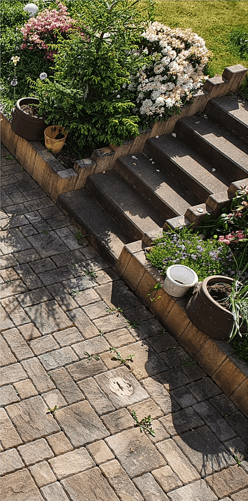 Pflastersteinreinigung nachher 2